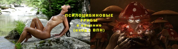 ECSTASY Аркадак