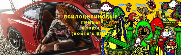 прущие грибы Алексеевка