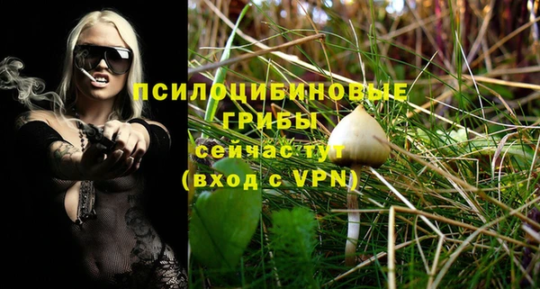 ешки Арсеньев