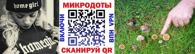 Псилоцибиновые грибы мухоморы  даркнет сайт  Дзержинск 