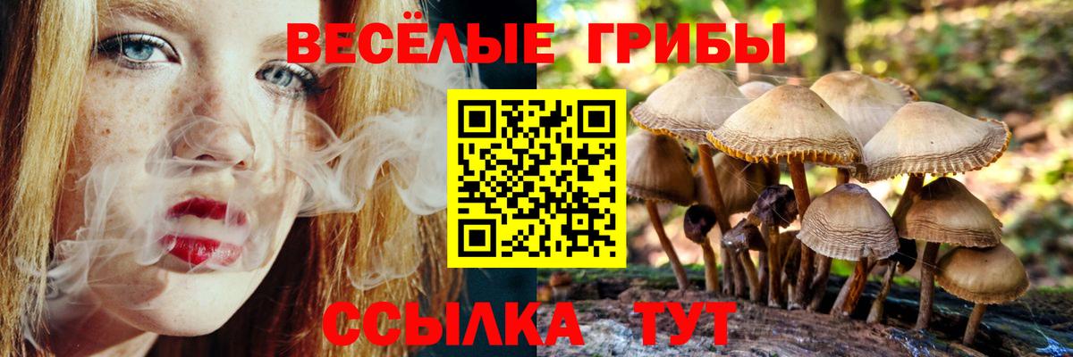 Дзержинск  Псилоцибиновые грибы мицелий  Псилоцибиновые грибы MAGIC MUSHROOMS  Вход с VPN 